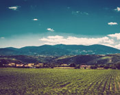 Web漏洞扫描工具